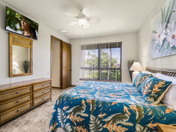 Kohala Coast Home 1000931