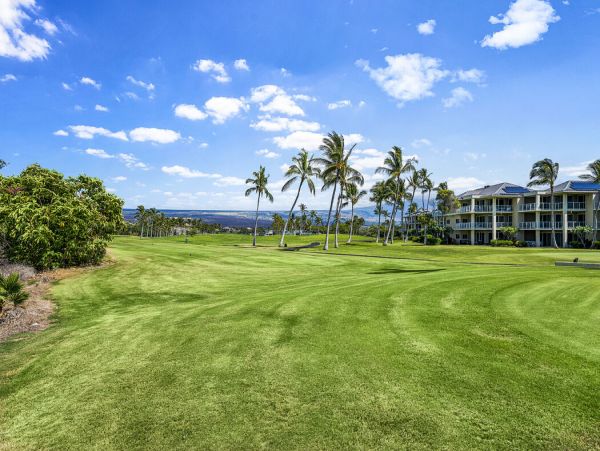 Kohala Coast Home 1000931