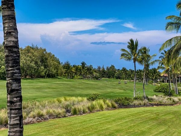 Kohala Coast Home 1000932