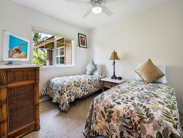 Kohala Coast Home 1000932