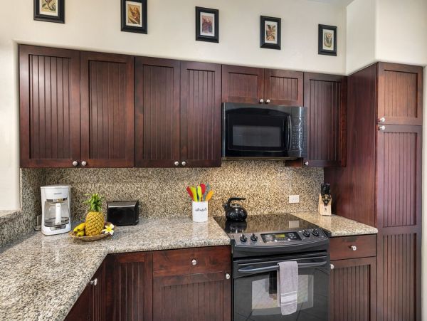 Kohala Coast Home 1000933