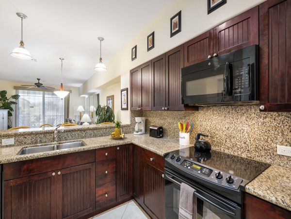 Kohala Coast Home 1000933