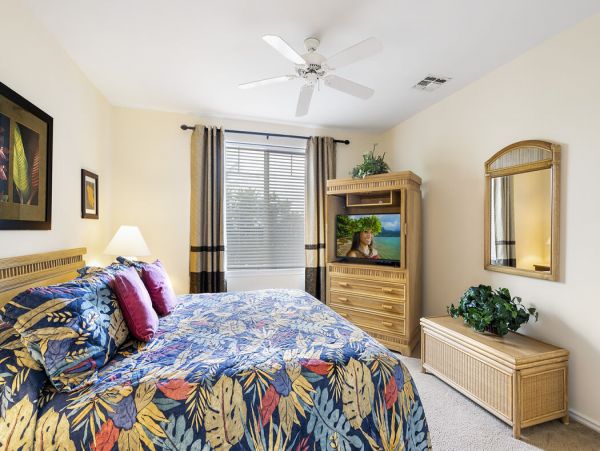Kohala Coast Home 1000933