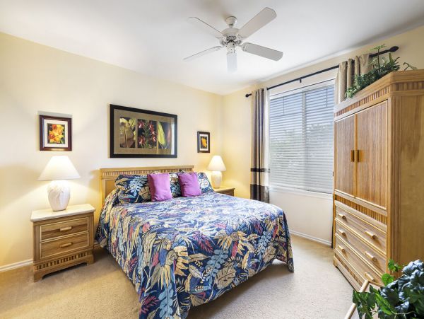 Kohala Coast Home 1000933