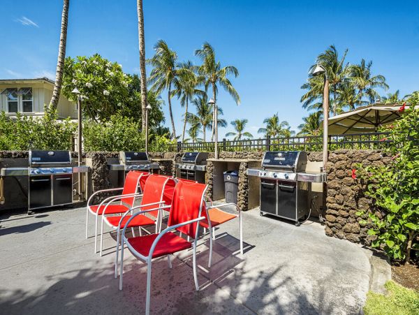 Kohala Coast Home 1000933
