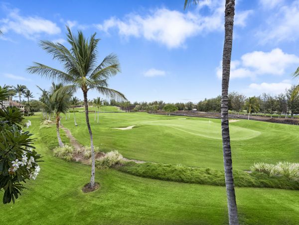 Kohala Coast Home 1000933