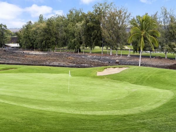 Kohala Coast Home 1000933