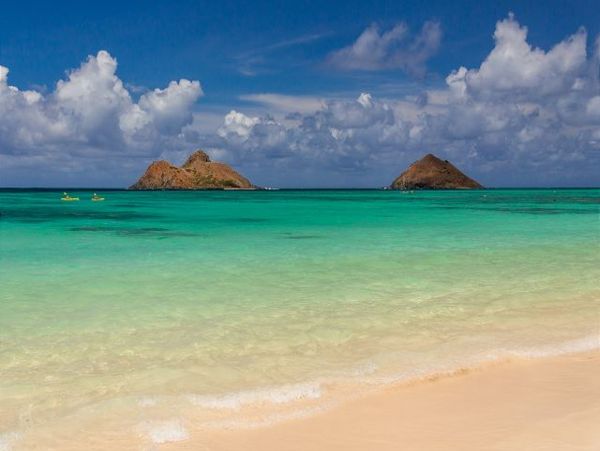 Kailua Three Bedroom Three Bath Pool Home