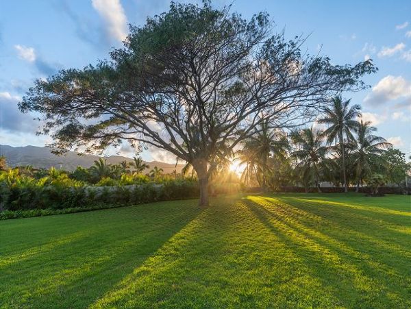Kailua Lanikai Beach Home 1000949