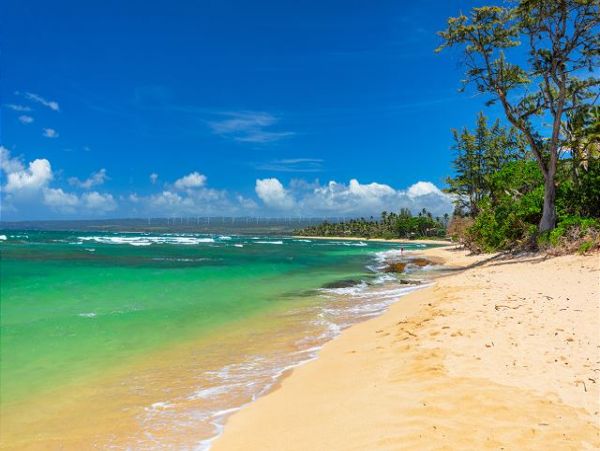 Kailua Lanikai Beach Home 1000949