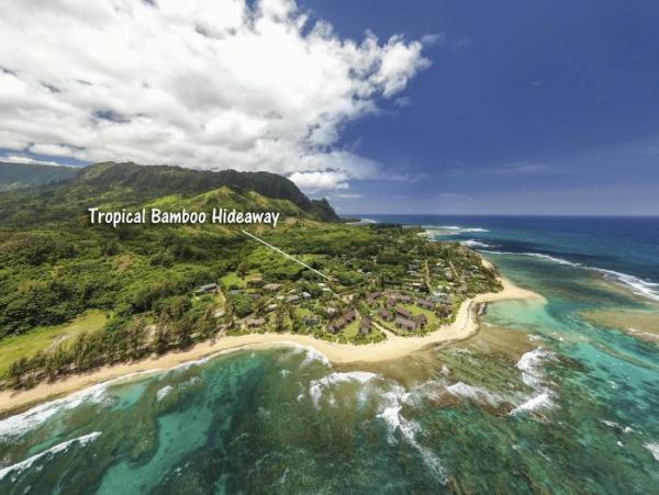Hanalei Home 1000956