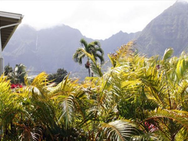 Hanalei Home 1000960