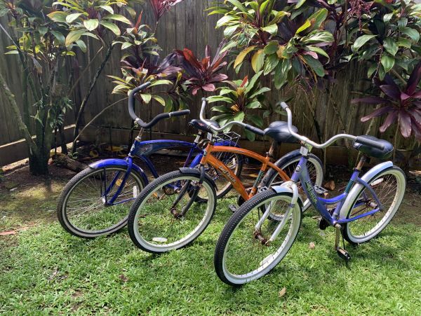 Hanalei Home 1000960