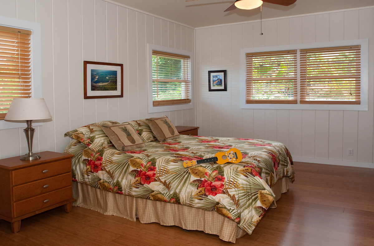 Hanalei Home 1000960