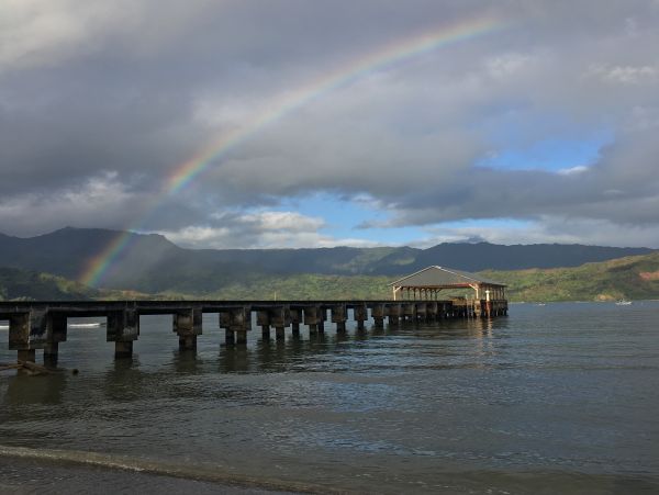 Hanalei Home 1000960