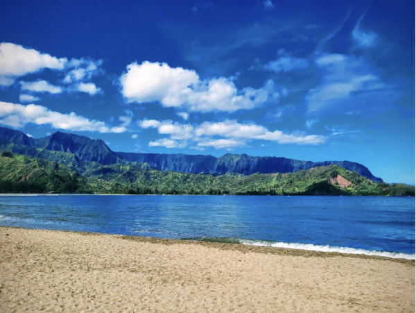 Rare Ocean Side Escape On Kauais Iconic North Shore Rent As Three Bedroom Or Five Bedroom !