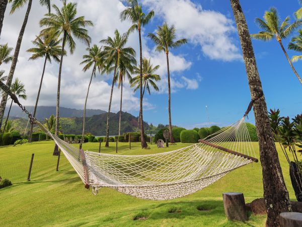Hanalei Home 1000965
