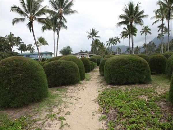 Hanalei Home 1000965