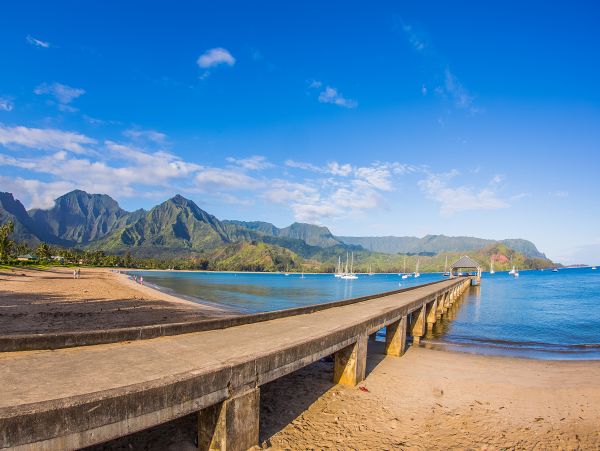 Hanalei Home 1000965