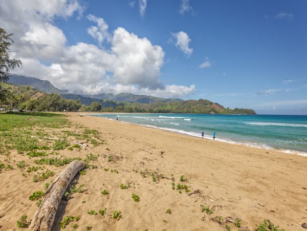 Hanalei Home 1000965