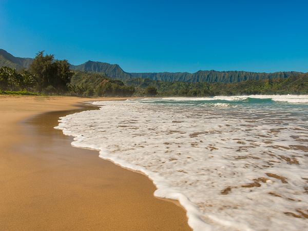 Hanalei Home 1000967