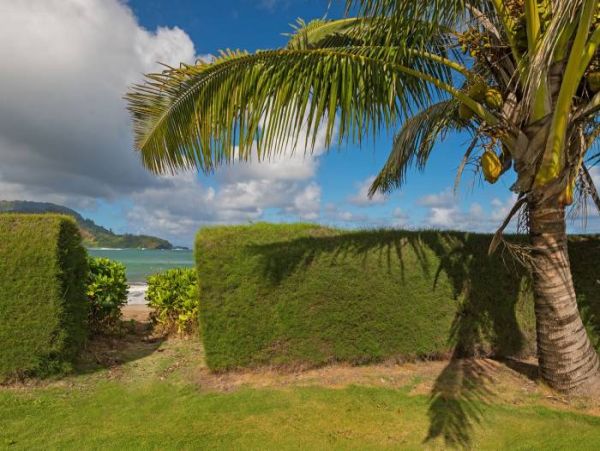 Hanalei Home 1000970