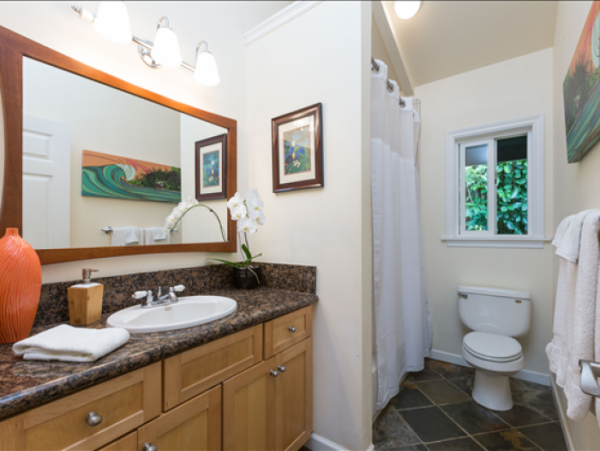 Hanalei Home 1000972