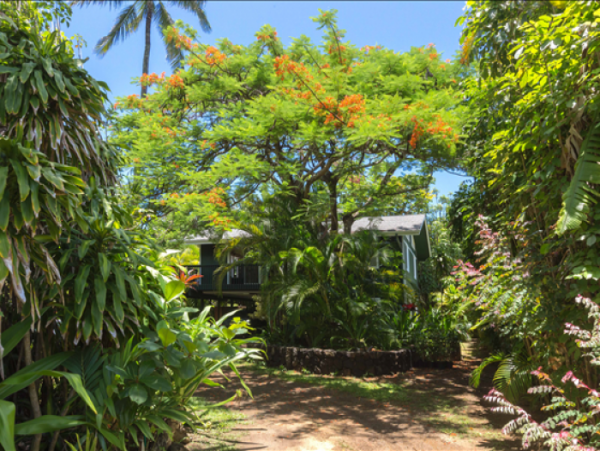 Hanalei Home 1000972