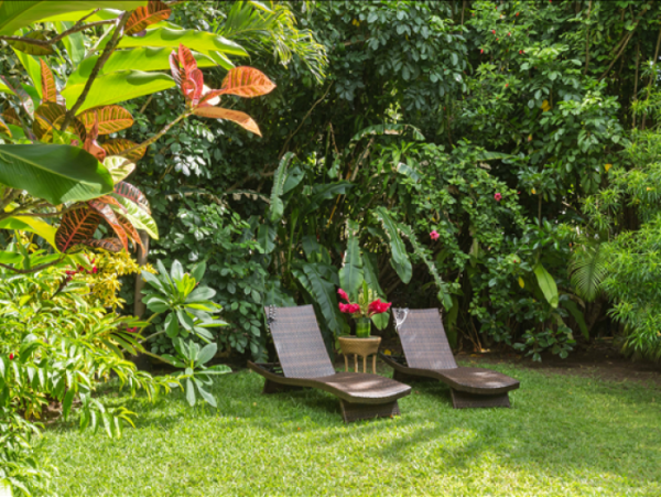 Hanalei Home 1000972