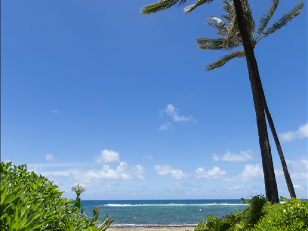 Hanalei Home 1000972