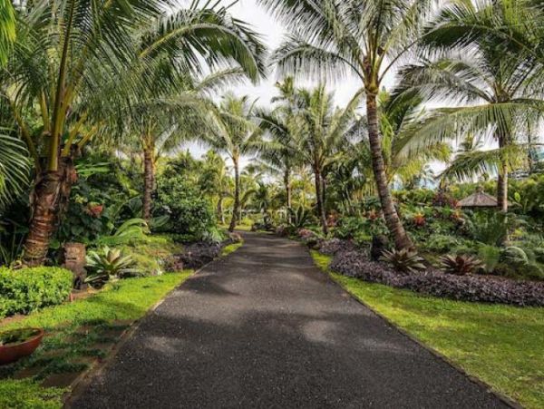 Hanalei Home 1000973