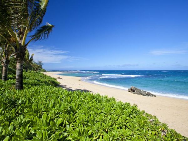 Hanalei Home 1000973