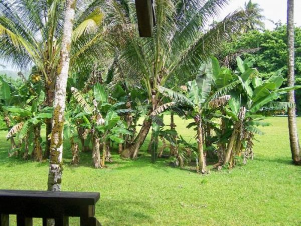 Hanalei Home 1000974