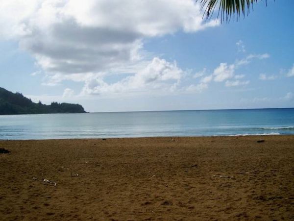 Hanalei Home 1000974