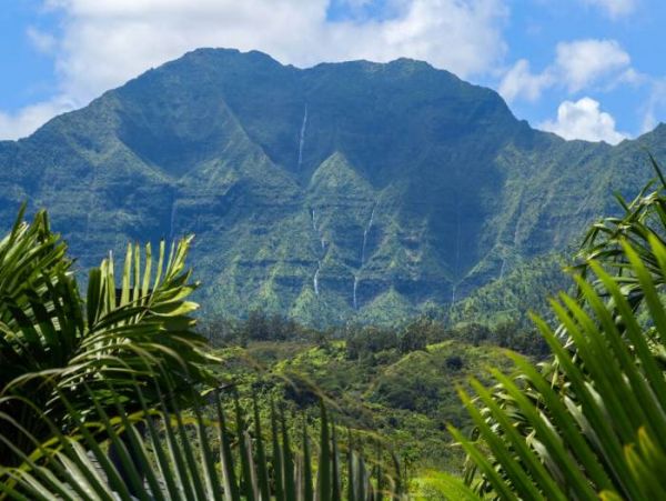 Hanalei Home 1000975