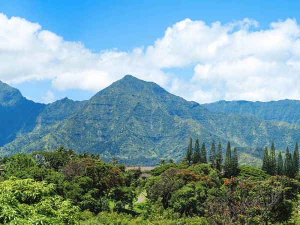 Hanalei Home 1000975
