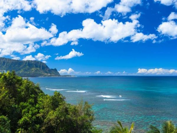 Hanalei Home 1000975