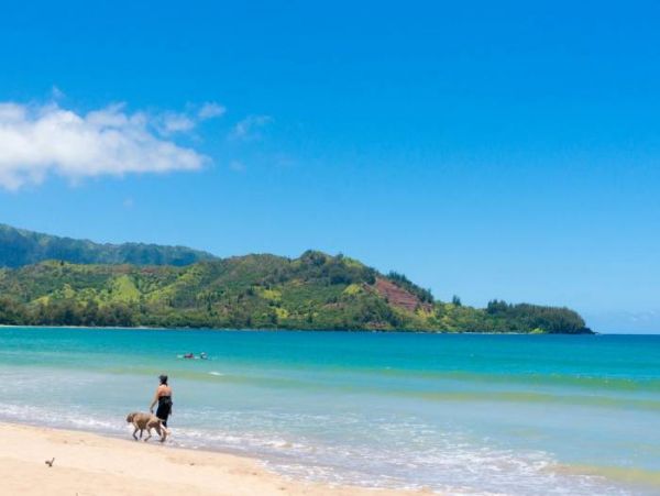 Beachfront Beauty A Truly Exceptional Villa Main House & Guest House