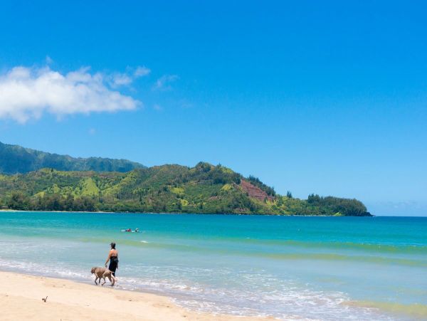 Beachfront Beauty A Truly Exceptional Villa Main House & Guest House