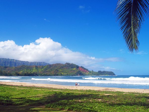 Beachfront Beauty A Truly Exceptional Villa Main House & Guest House