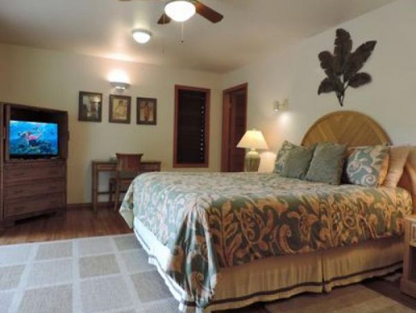 Hanalei Home 1000977