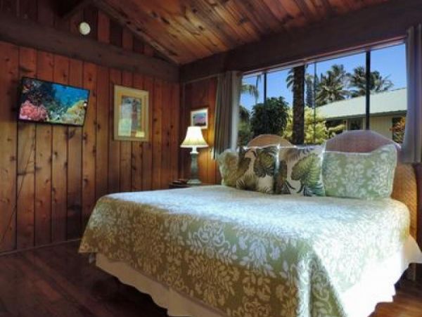 Hanalei Home 1000977