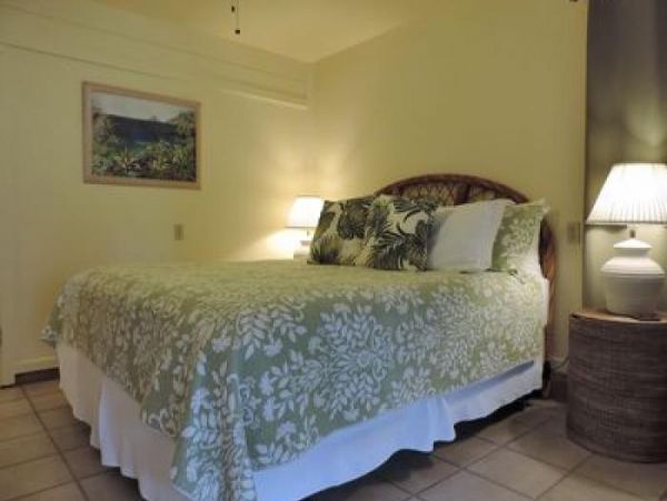 Hanalei Home 1000977