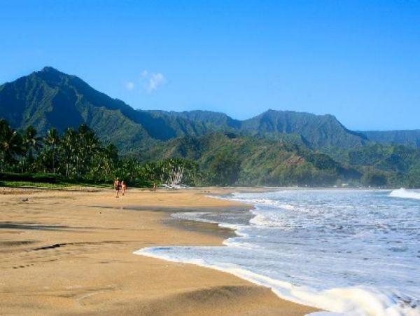 Hanalei Home 1000978