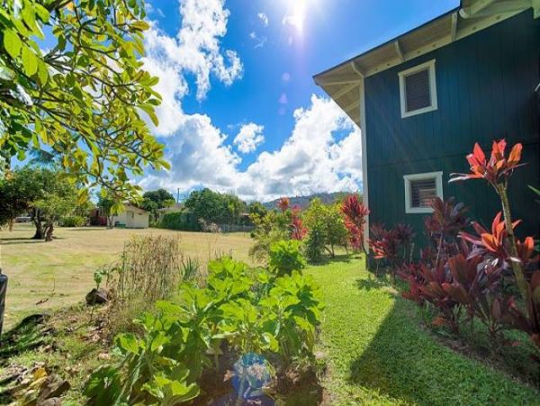 Hanalei Home 1000981