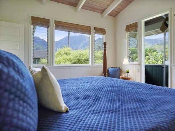 Hanalei Home 1000981