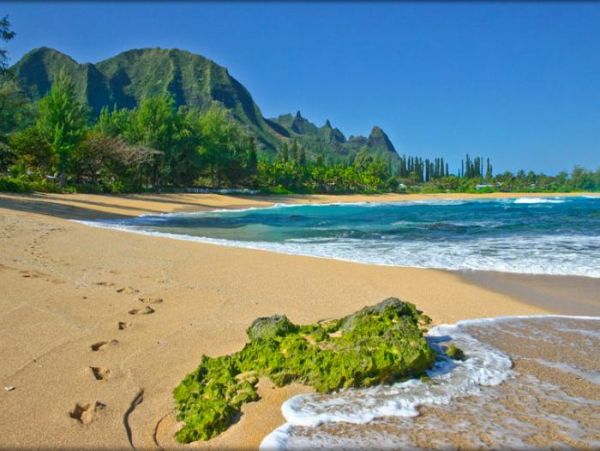 Hanalei Home 1000982