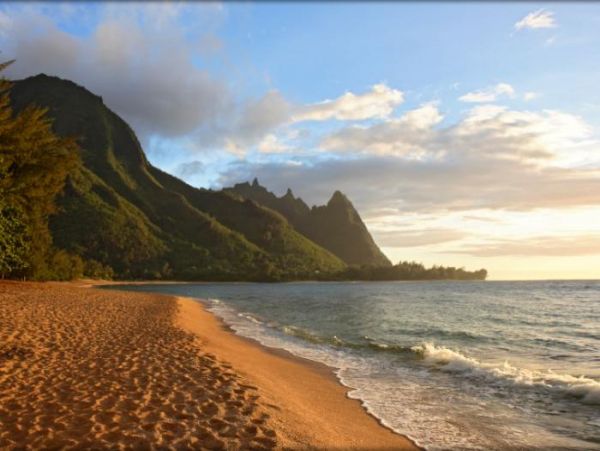 Hanalei Home 1000982