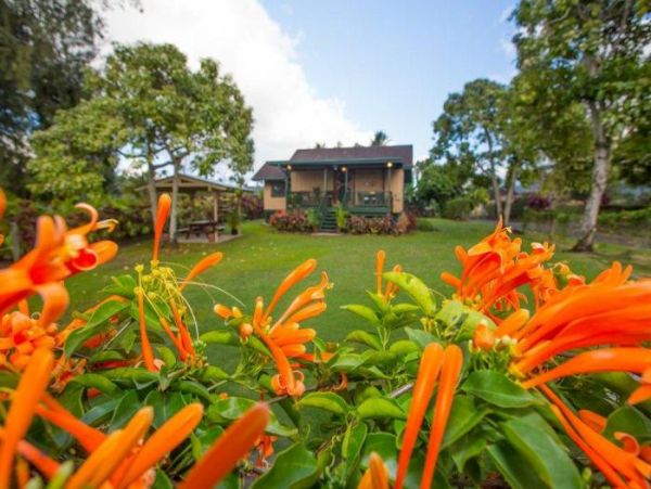 Hanalei Home 1000983