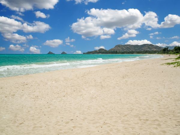 Walk to beach Vacation Pool Home in Kailua Four Bedroom